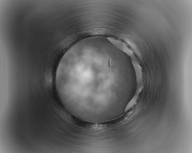 X0000093220261200710171405