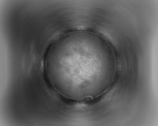 X0000093220262200710171405