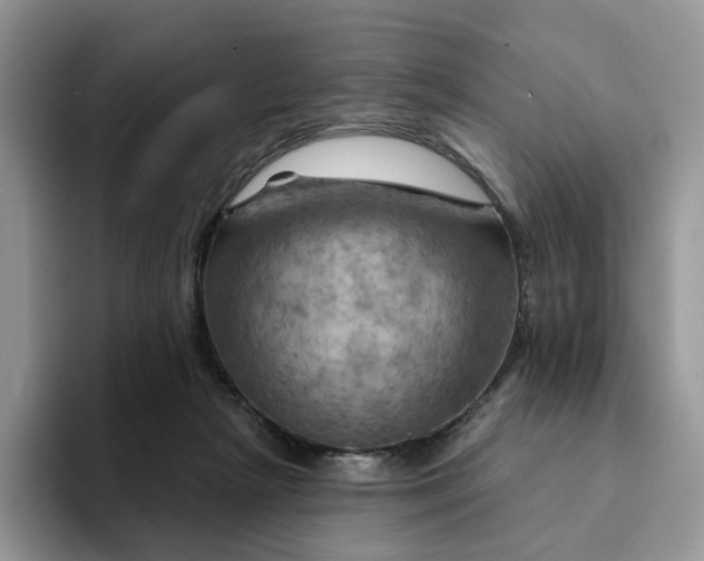 X0000093220265200710171405