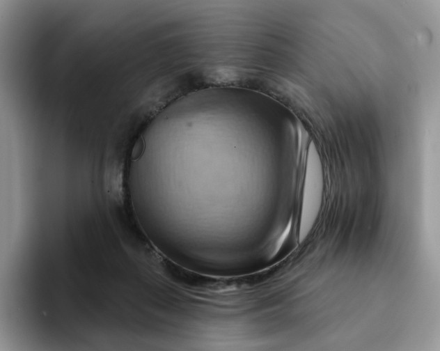 X0000093220267200710171405