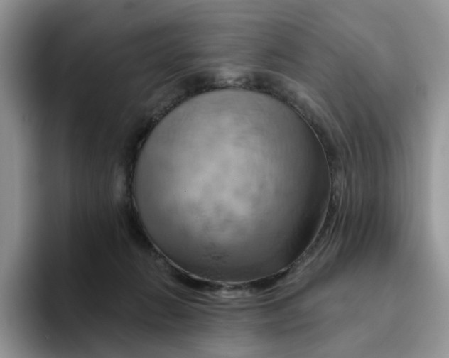 X0000093220270200710171405