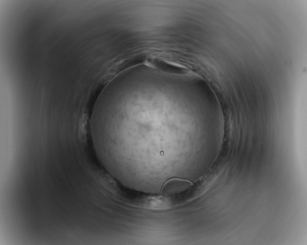 X0000093220275200710171405