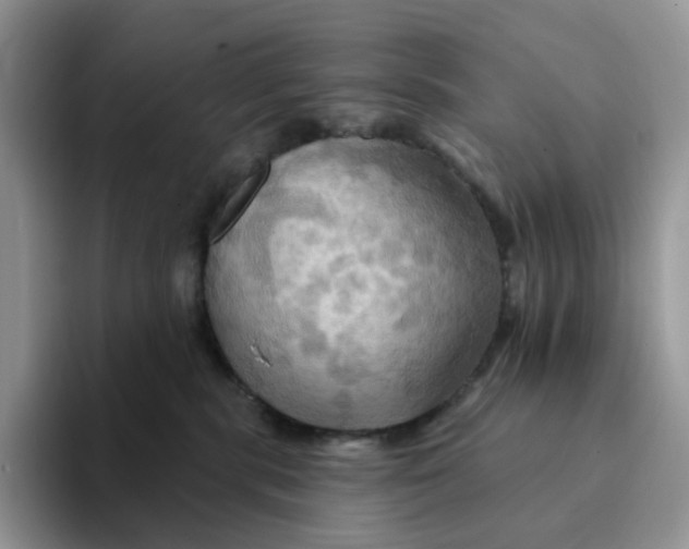 X0000093220283200710171405