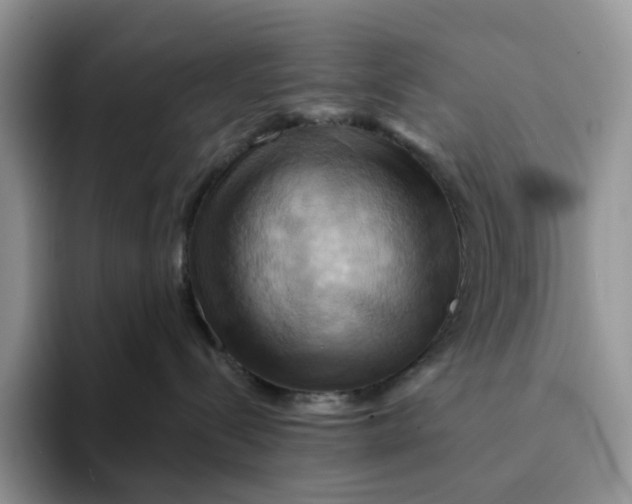 X0000093220288200710171405