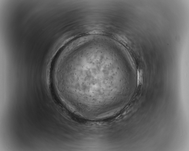 X0000093220291200710171405