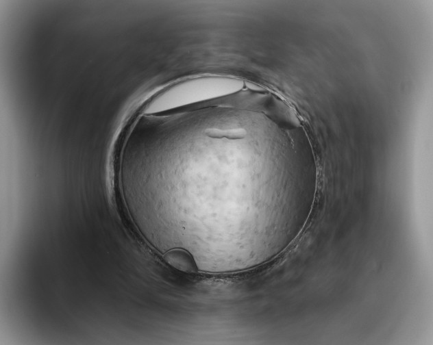 X0000093220294200710171404