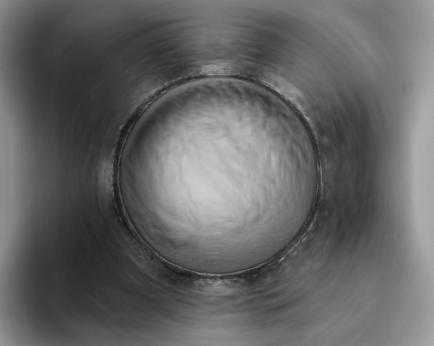 X0000093220297200710171404