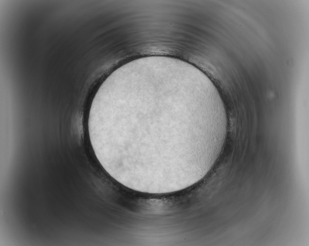 X0000093220302200710171404