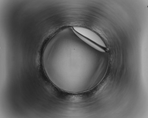 X0000093220303200710171404