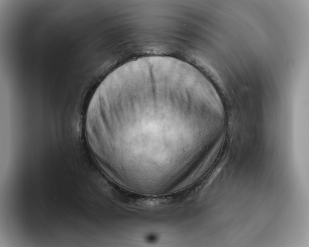 X0000093220305200710171404