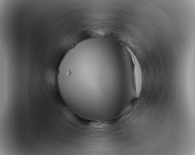 X0000093220331200710171404