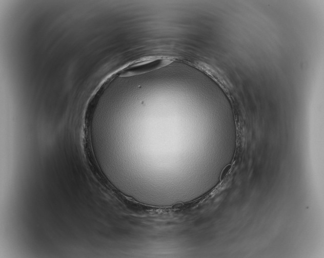 X0000093220338200710171403