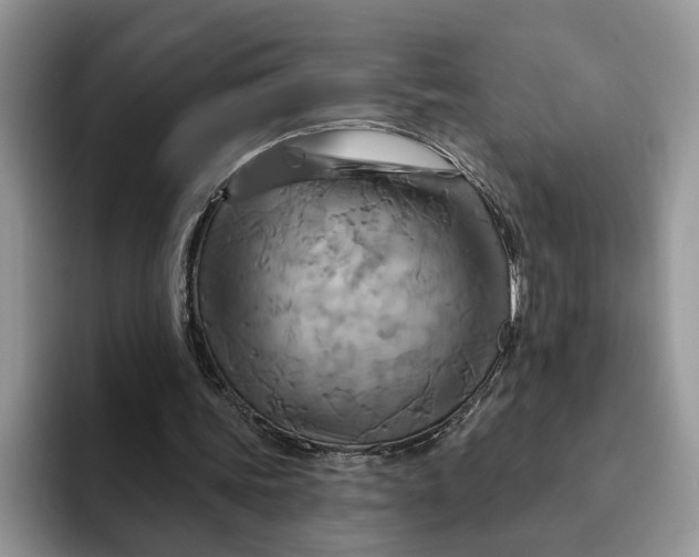 X0000093220339200710171403