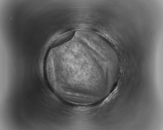 X0000093220341200710171403