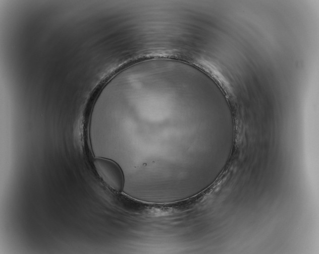 X0000093220346200710171404