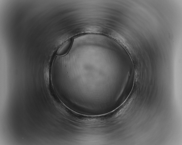 X0000093220349200710171404