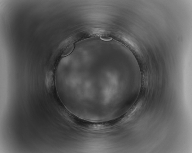 X0000093220361200710171404