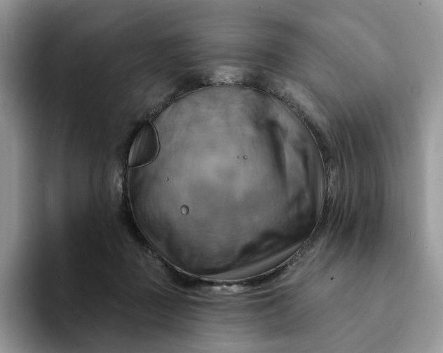 X0000093220363200710171404