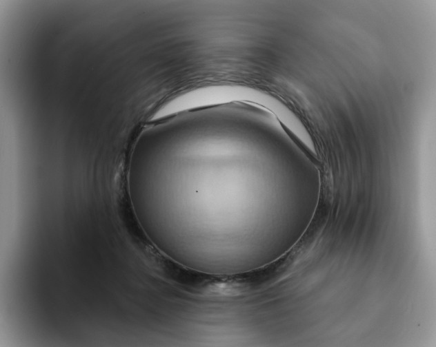 X0000093220364200710171404