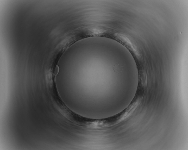 X0000093220366200710171404