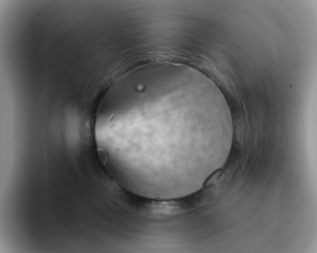 X0000093220378200710171404