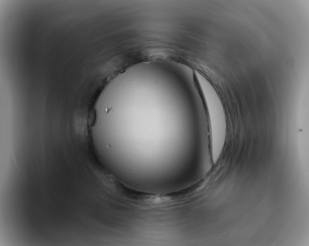 X0000093220379200710171404