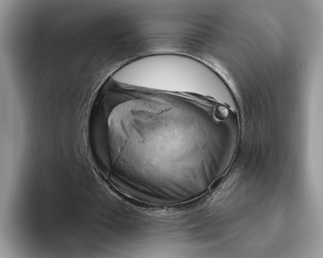 X0000093220385200710171403