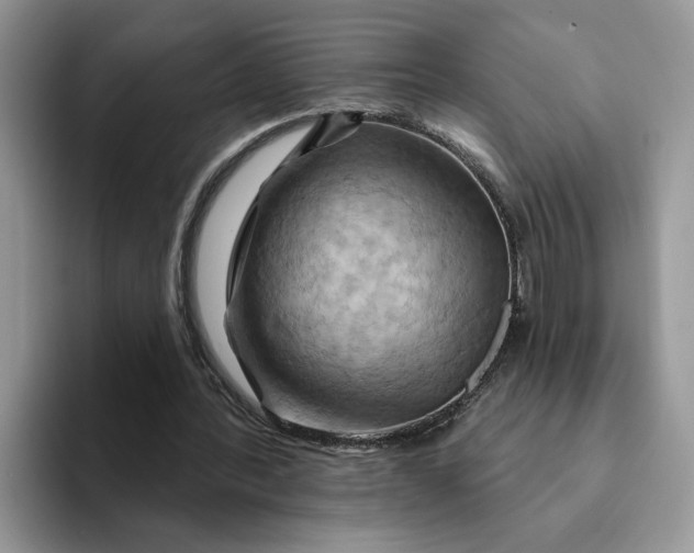 X0000093220388200710171403