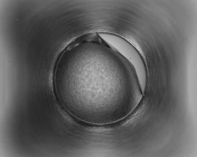 X0000093220389200710171403