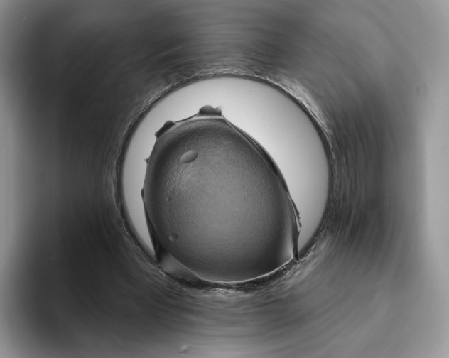 X0000093220393200710171403