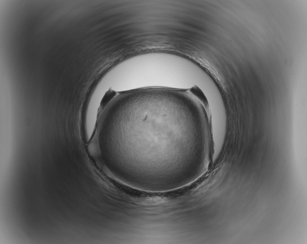 X0000093220397200710171403