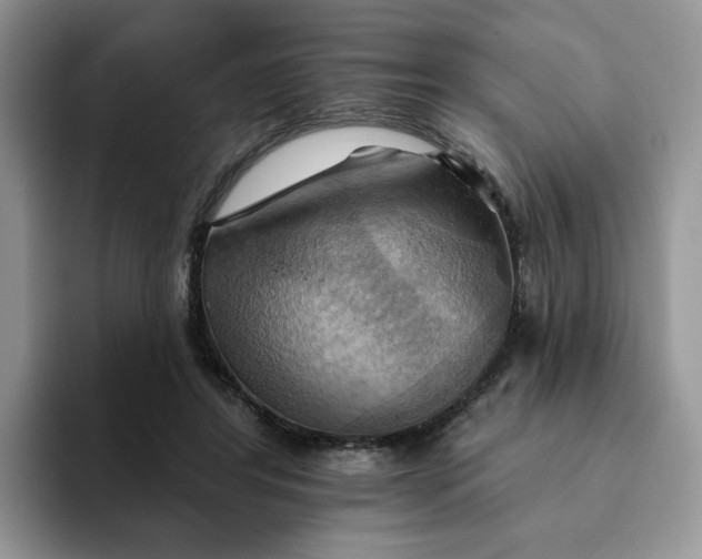 X0000093220404200710171403