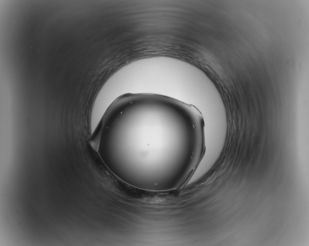 X0000093220412200710171403