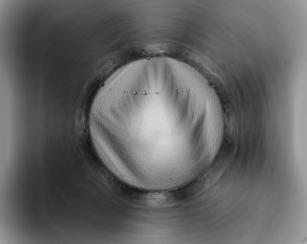 X0000093220418200710171403