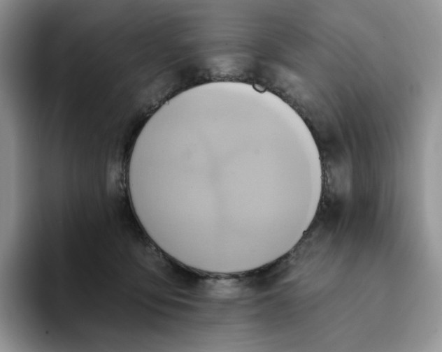 X0000093220419200710171403