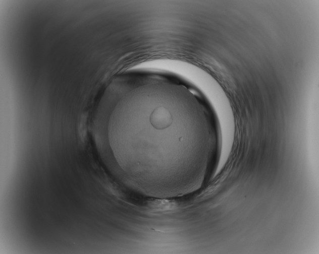 X0000093220421200710171403