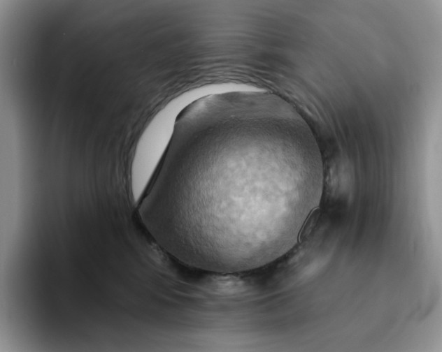 X0000093220424200710171403