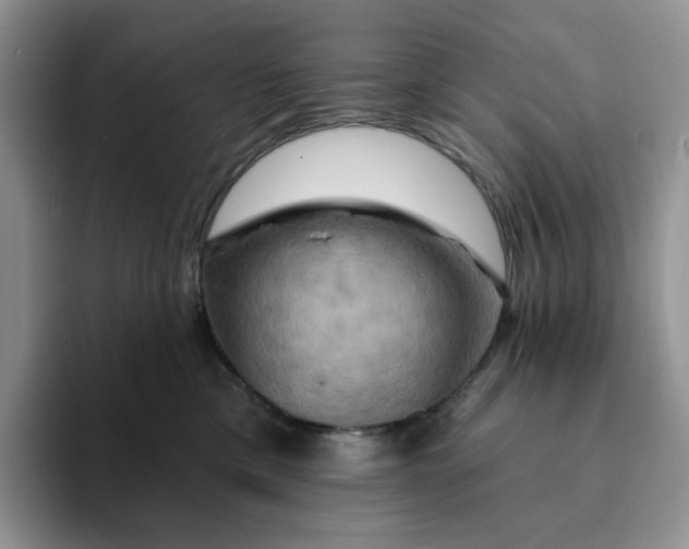 X0000093220425200710171403