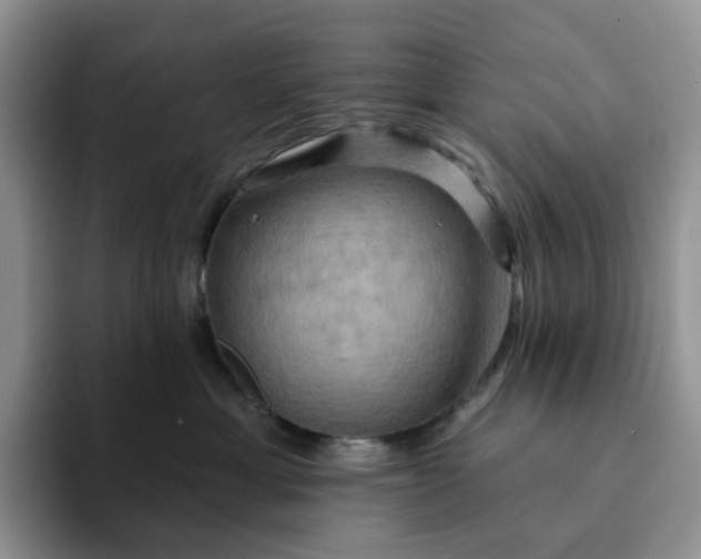 X0000093220429200710171403