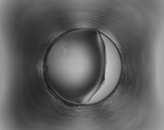 X0000093220434200710171402