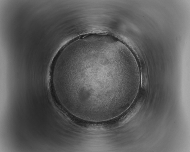 X0000093220435200710171402