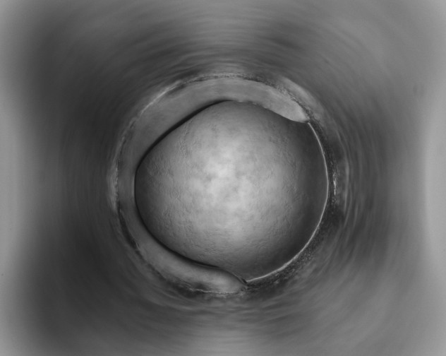 X0000093220436200710171402