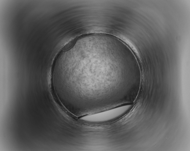 X0000093220437200710171402