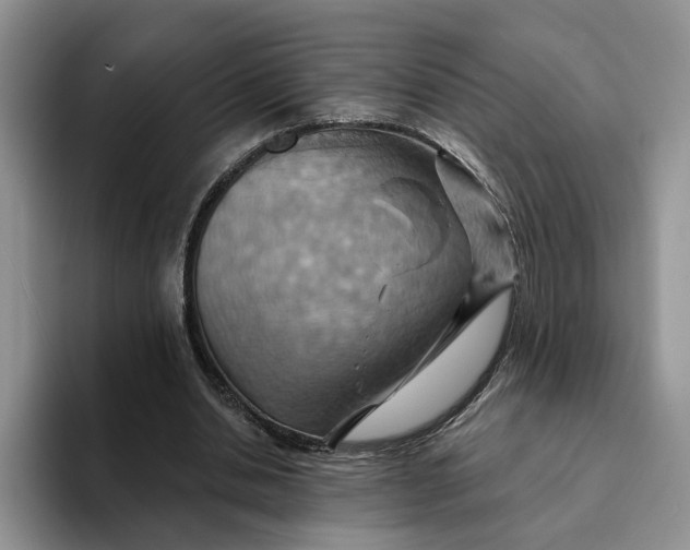 X0000093220438200710171402