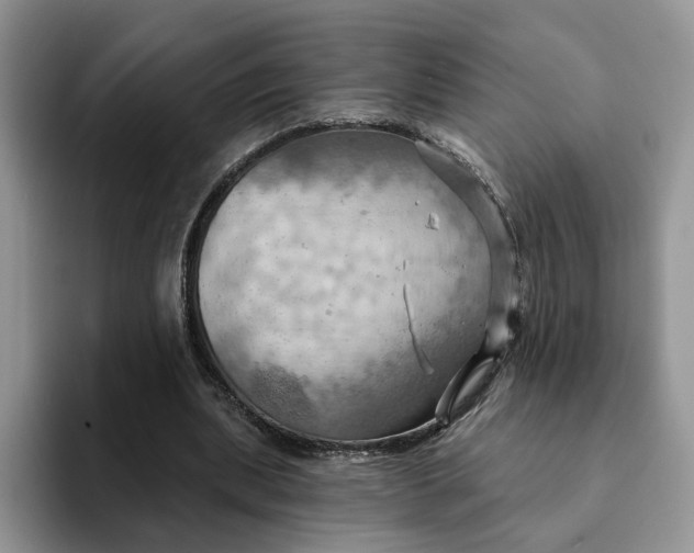 X0000093220439200710171402