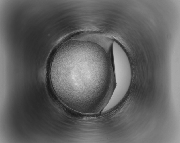 X0000093220440200710171402