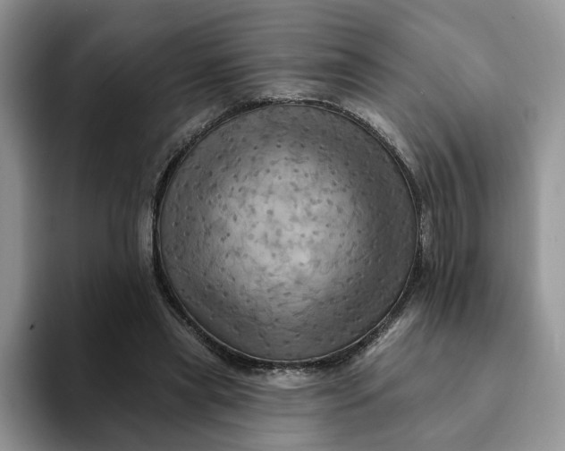 X0000093220445200710171402