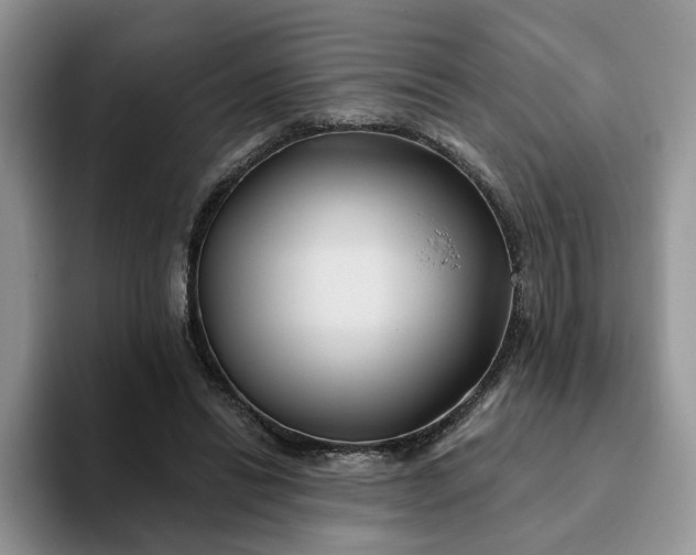 X0000093220446200710171402