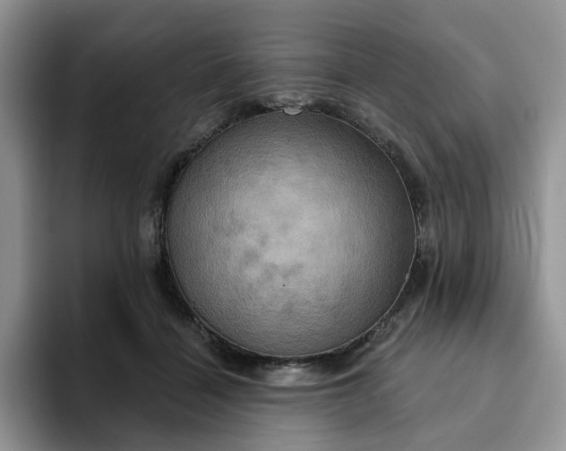 X0000093220460200710171403