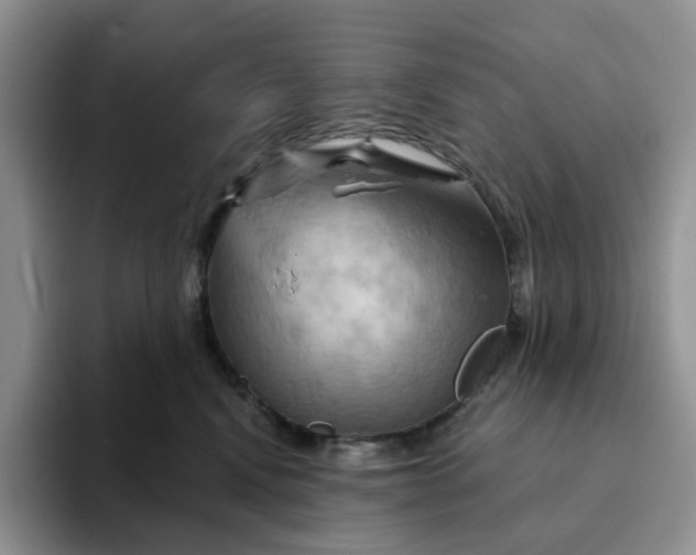 X0000093220472200710171403